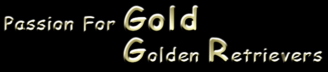 Visit with Passion For Gold  Golden Retrievers